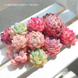 ֲҵ¶ȉ¶ͯӼtʯXF؛Mײ