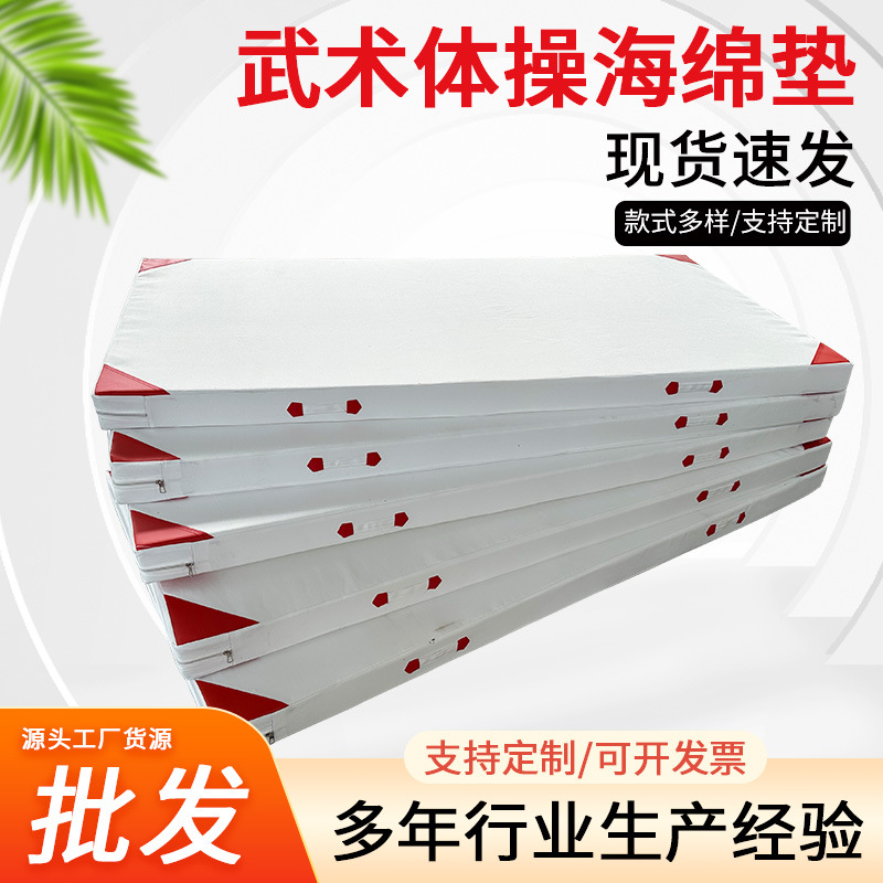 Martial Arts Mat, Gymnastics Mat, Taekwondo Mat, Martial Arts Studio Practice Mat, Sports Training Mat, Sponge Mat, Non-Slip, Environmentally Friendly Material