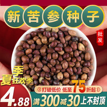 2024¿NӲķNֲNѿвșػ䮔wN