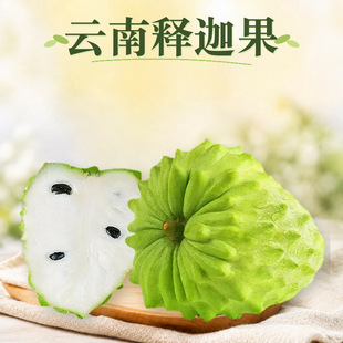 �����ȹ� һ�����l1/2/3/5��С�д������֦�����r�����rˮ��