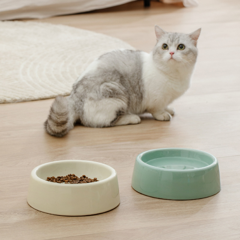Gato de cerámica tazón protector columna cervical Slow Food Bowl perro gato tazón de comida para gatos tazón de arroz suministros para mascotas antidetonantes