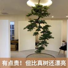 ����ʽ�컨�����������ӭ���ɘ���Ҡ�����픵���٘��쾰�b�