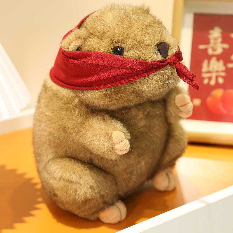 详情图