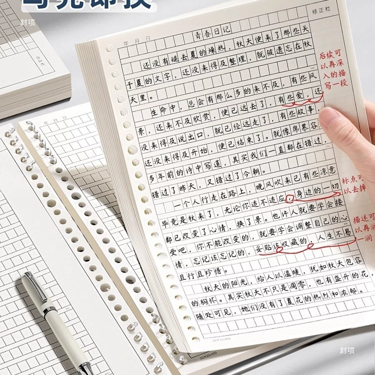 ルーズリーフ作文テキスト5 高校生・中学生・小学生向け作文用紙 300方眼 400方眼 注釈修正欄付き 抽出|undefined