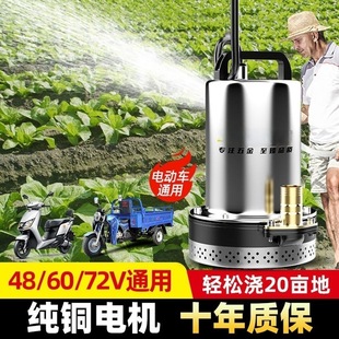 Dc Submersible Pump Electric Vehicle 48-72V Universal Household Water Pump Agricultural Battery Vehicle Small Water Pump Irrigation