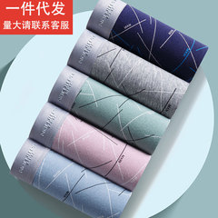 Men's Adult Cotton Boxer Briefs in Large Size, Graphene-Infused Antibacterial All-Cotton Shorts—Drop Shipping Available