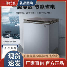 美的100/142/200升冷藏冷冻转换冰柜 家用囤货小冷柜
