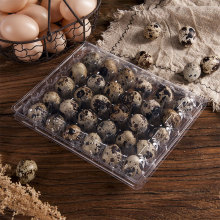 厂家供应多规格鹌鹑蛋托 超市鸡场透明塑料蛋盒现货支持来图来样