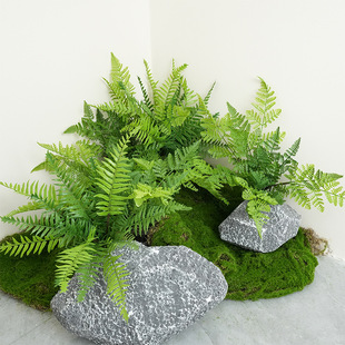 羳F؛沨˹~ާܛzGֲ̾G^ پGֲl ٲ