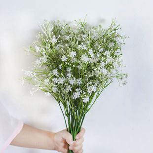 ����M���Ǵ̻� �ٻ�����ˮ������G�����̷���Gֲ�����ř��b�