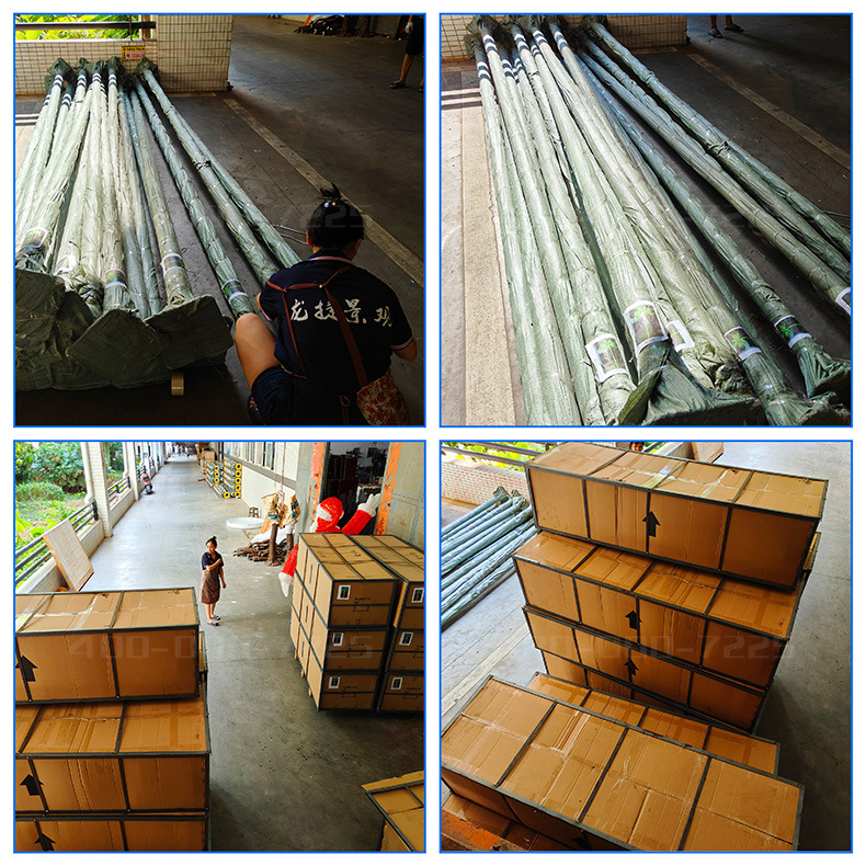 高6米 宽4米12片叶 8果 绿色椰子树灯 41 (6).j