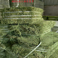 ��ޣ�ݸɲ�С��������ޣ������ACX�ϻ���ޣ�ɲ����Rţ�����ι�B