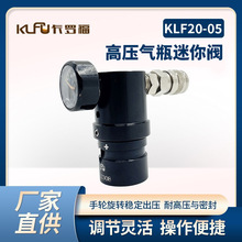 �S�ҹ����X�Ͻ��Α�CS��ƿ�yKLF20-05�߉���ƿ���y�����y�p���y