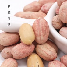 ���㻨���׻������������ζ�¾Ʋ���ʳ���e��؛ɢ�b��ͥ���e��ʳ