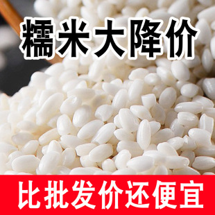 10��5��Ŵ��������Ŵ�׺������|��ճ������Ŵ�װ׽������װ���