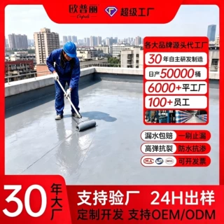 外露型房顶地面补漏防水涂料定制楼顶外墙补漏王防水涂料屋顶专用