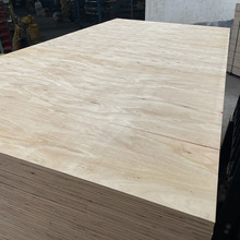 ���b���ľ���b�估�бP����1220*2440���Ӱ��Ȱ���l����ƽ��