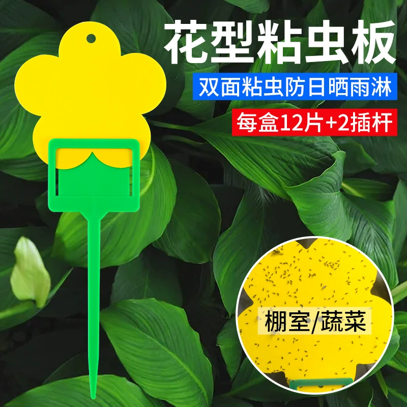 Желтая липкая доска-ловушка для насекомых, двусторонняя липкая доска-ловушка для насекомых, желто-синяя доска-ловушка для насекомых, маленькая липкая доска-ловушка для насекомых черной мухи для летнего использования в помещении.