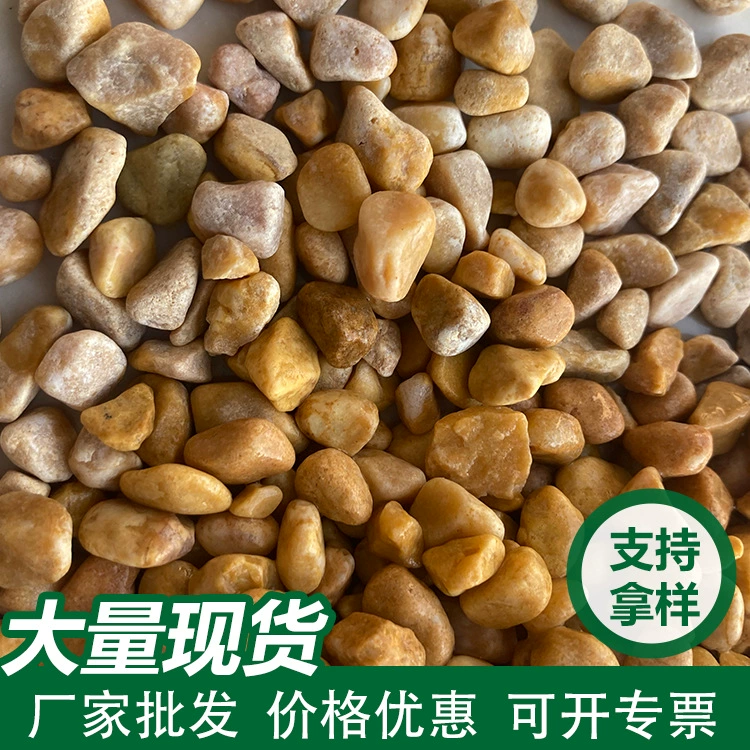 Оптовая продажа желтого гравия, моющийся камень, клей для каменной плитки, малый гравий для мощения дворов, гравий для газонов, дышащий камень