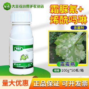 ������ ��˪��40%ϩ������˪��������˪ù���������Ҹ����rș���l