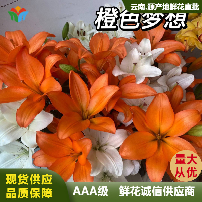 亚百合鲜花批发云南直发橙色百合铁炮鲜切花水养社区团购花材货源