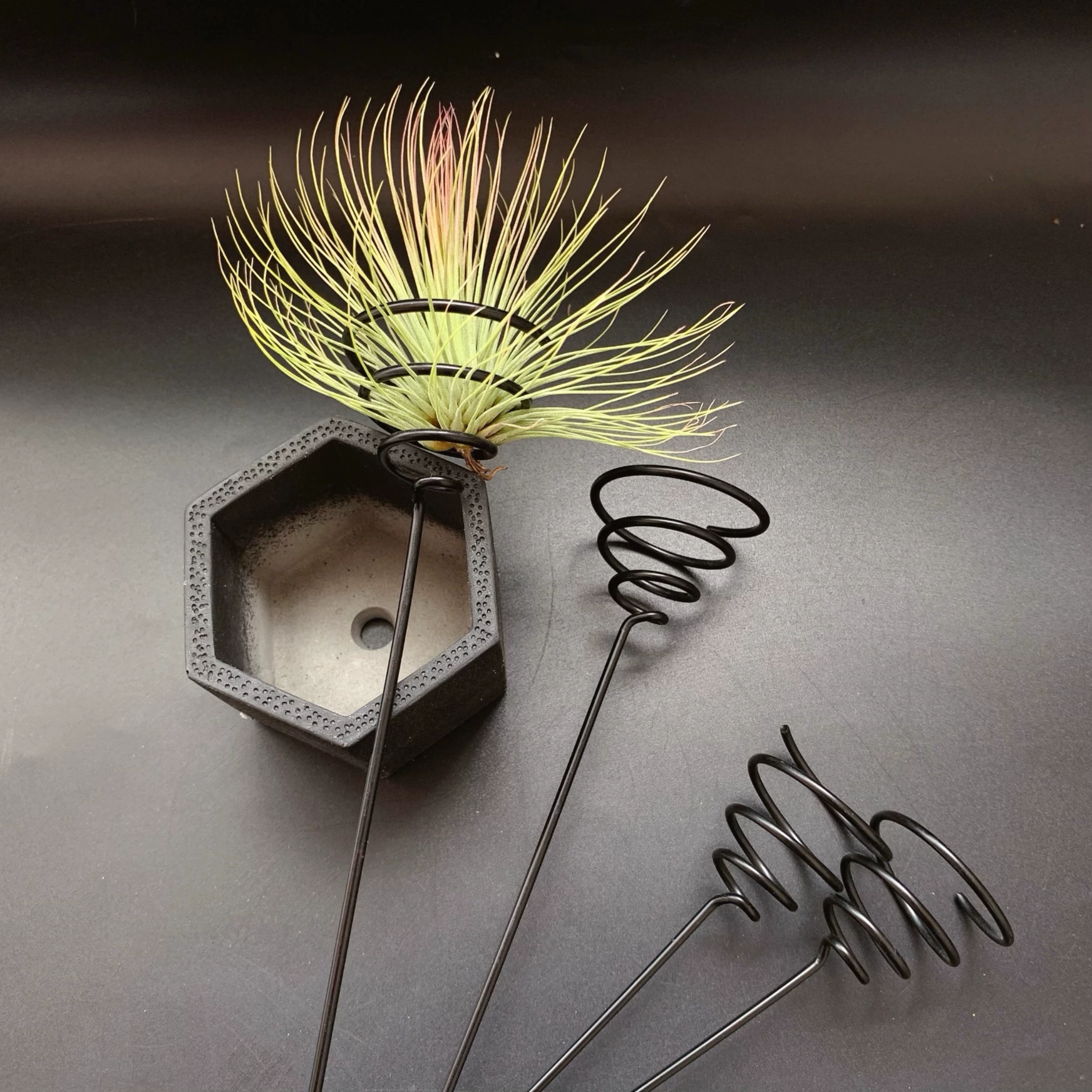 Набор из четырех подставок для растений (растения в комплект не входят), аксессуары для растений, выращивающихся в воздухе