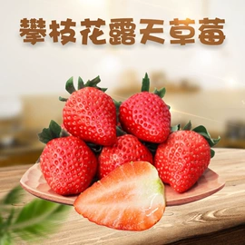 苹果;橙;其他水果