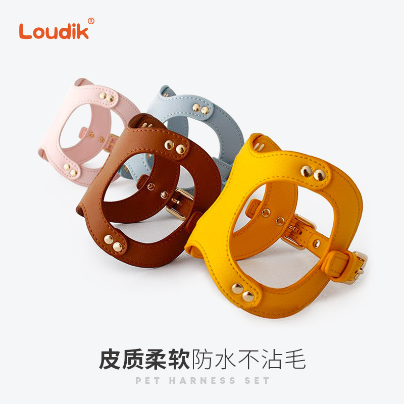 Dego厂家批发奢华皮革宠物胸背带狗狗牵引绳遛猫绳中小型犬跨境|undefined