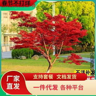 һ�����l�ձ��t�����������ļ��t�輧�Ї��t���ļ����B�҃����ͺ�