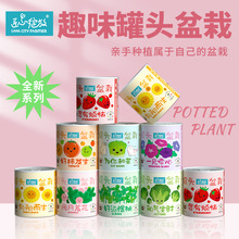 匠心绽放 罐头种植小盆栽儿童 办公室绿植情绪植物果蔬小学生