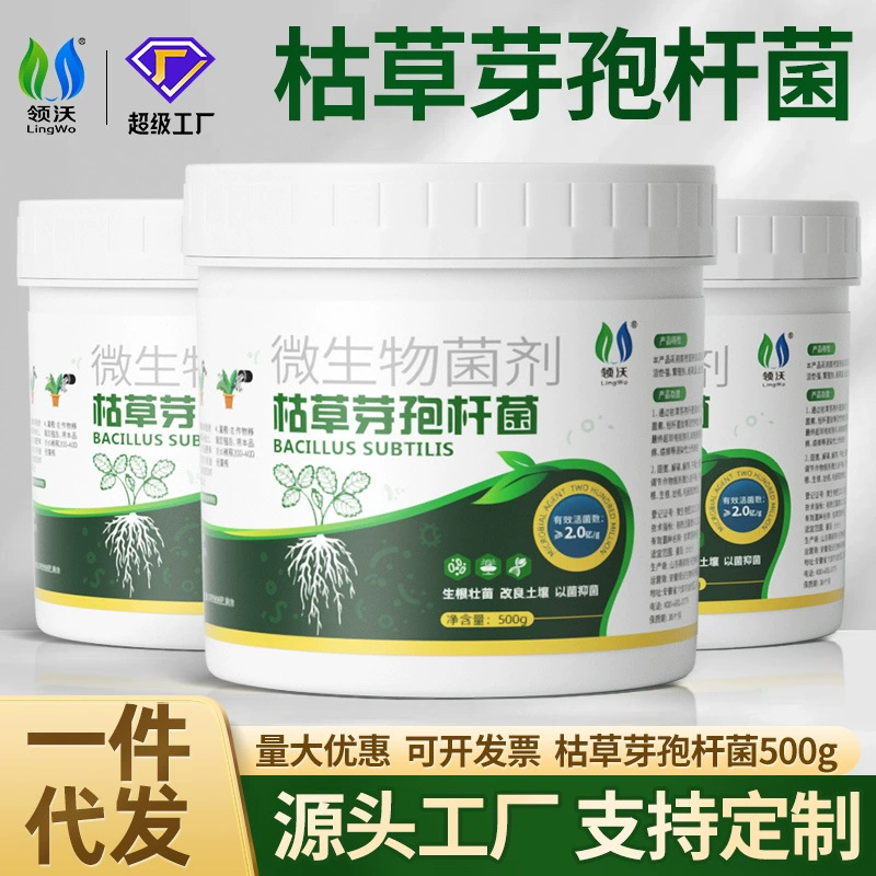 Микробный инокулянт Bacillus subtilis для сельскохозяйственного использования, органическое удобрение для укоренения и укрепления рассады, полностью водорастворимое для вялости и корневой гнили.