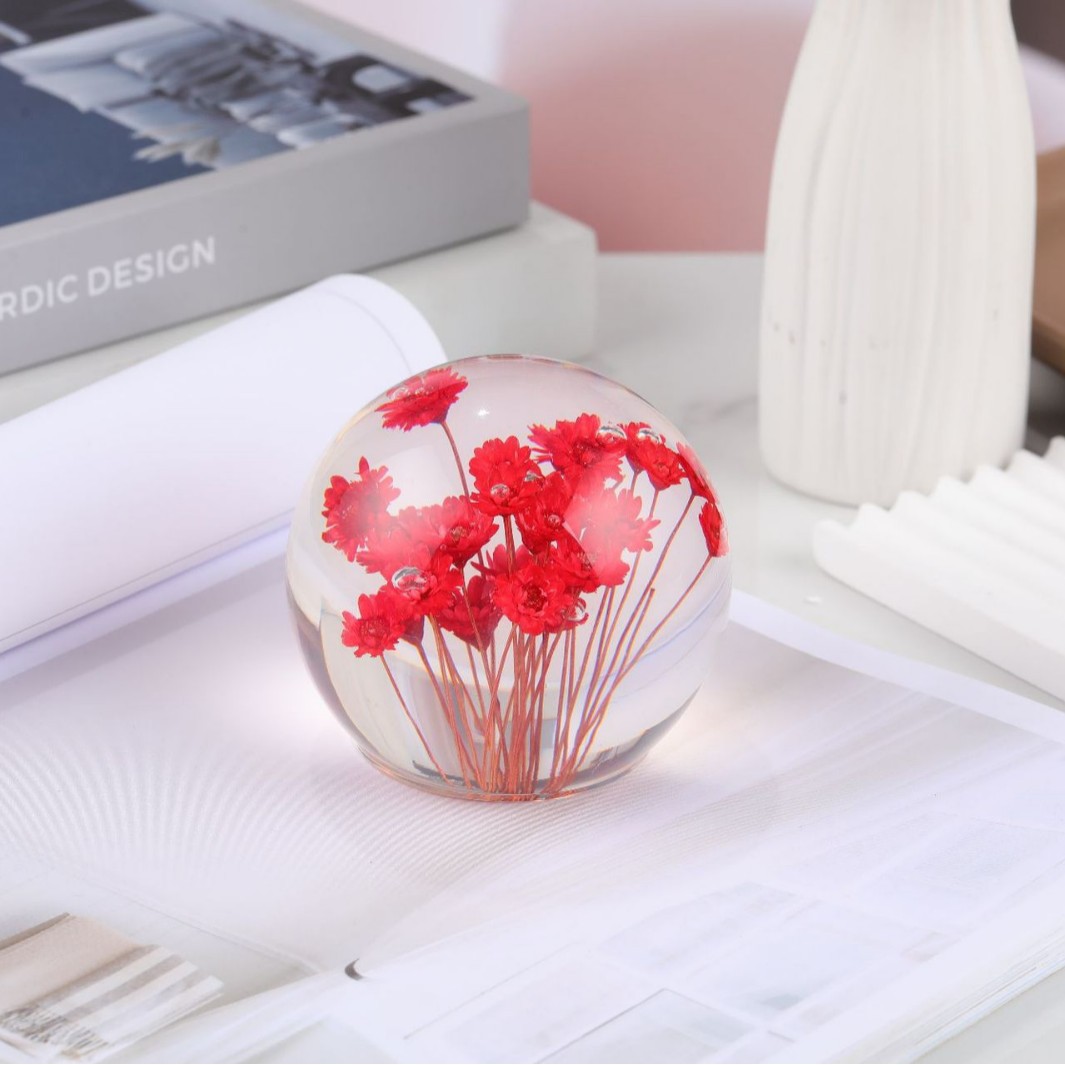 싱글 레드 [브라질리언 데이지]