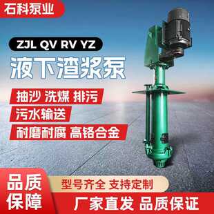 ZJL/QV/YZ��ʽҺ�����{����ʽ���{������������ɳ��ɳ�õV�ø߽j