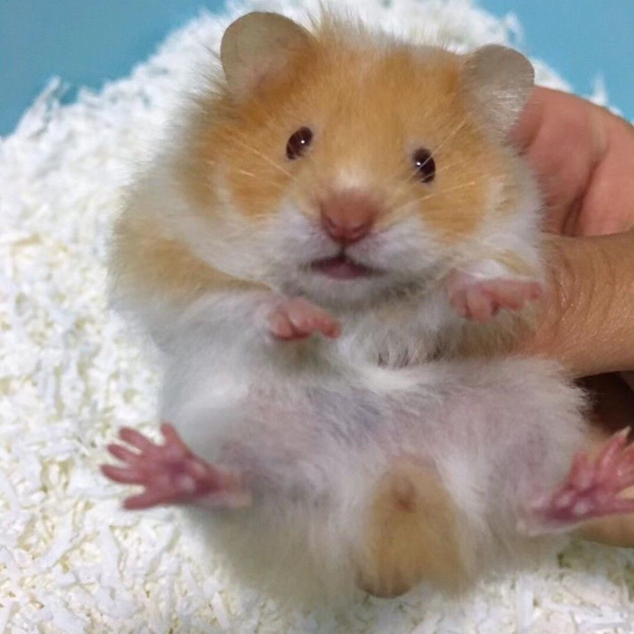 88ff77d3-df1b-4ab2-bcd4-6c1b3a155ea6.jpe