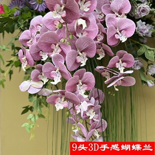 �߷�3D�����m���Q�ϼtɫ��ɫ9�^�ָвʺ�����m��Y�Ƶ��b����l