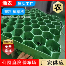 ��ɫ��ɫ4cm�G��ֲ�ݸ����o��ͣ܇λ��5cm����ֲ�ݸ�ֲ�����B�o��