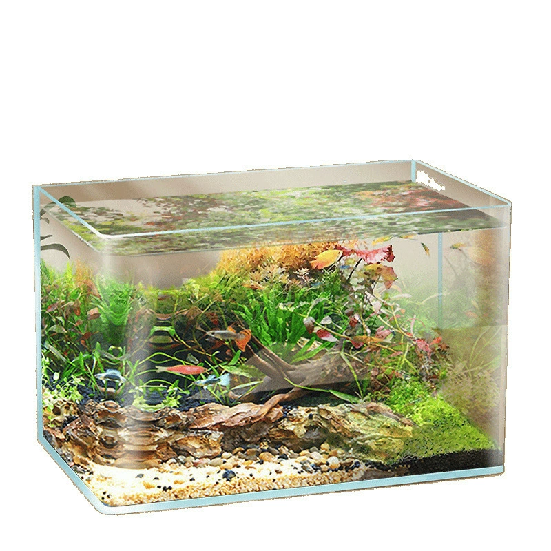 Hot bending tank transparent glass lazy fish tank living room balcony home landscaping small and medium-sized decorative goldfish ecological fish tank
