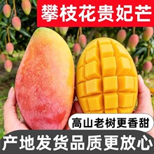 �F��â����֦��â���t����â�����r��ժâ��С�F��â�����F��â��