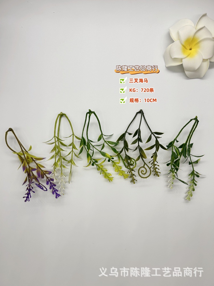微信图片_20250319172648_副本