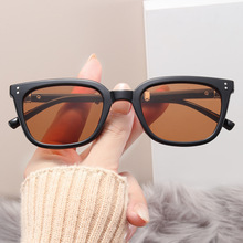 2025新款gm折叠墨镜女茶色高级感大脸显瘦防晒防紫外线太阳眼镜男