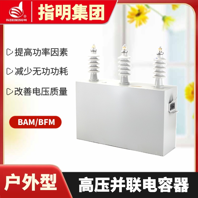 指明集团BFM11-100-3W  三相高压电力电容器系列 高压并联电容器