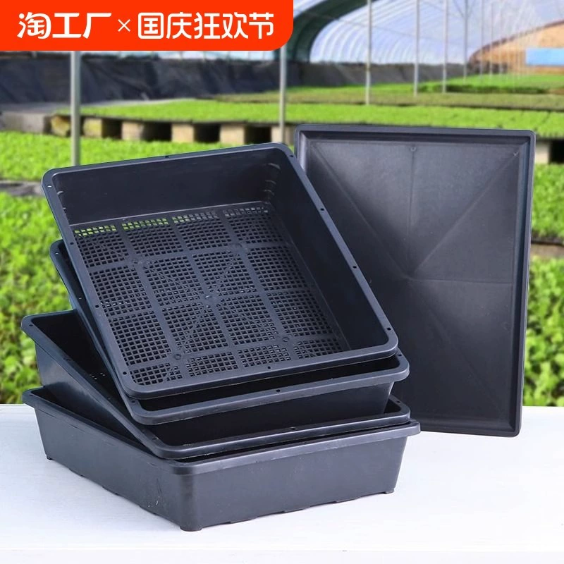 Толстая рама для рассады прямоугольная мясистая лентка