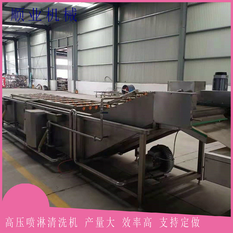 翻浪式草莓气泡清洗机 水果果蔬清洗机设备 小龙虾气泡清洗机