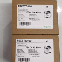 �W�Pģ�K TSXETG100