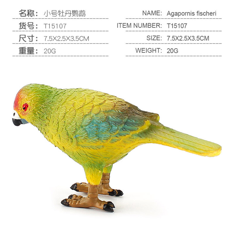 Exportación transfronteriza de simulación de pájaros modelo de papagaios peonía papaio de escritorio decoración estática juguetes