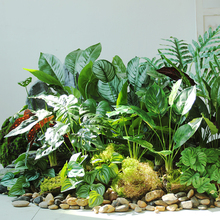 �Gֲ�쾰�廨�~�����b�ٻ�diy�����׃��@ֲ��Ǚ�������b�