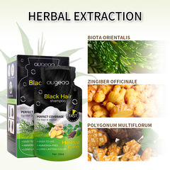 跨境工廠批發泡泡染蓋白髮專用自己在家染髮天然植物精粹溫和配方