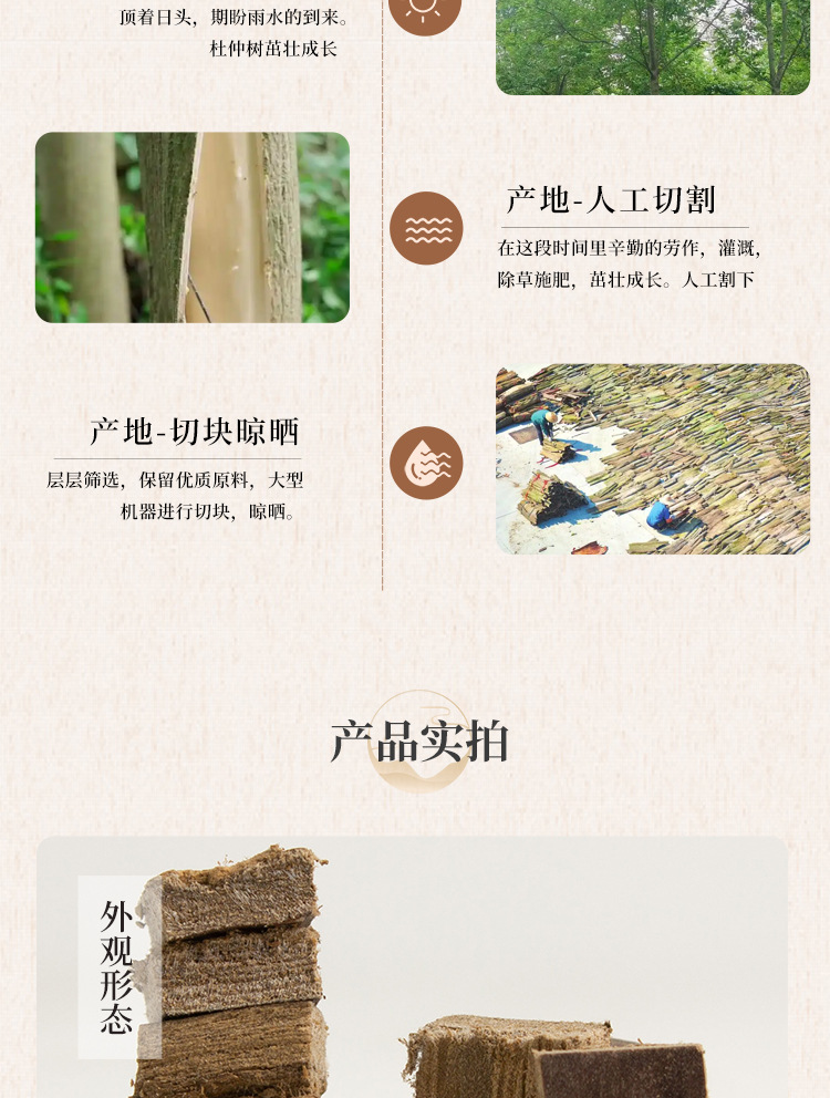 Dried Eucommia Bark Slices Du Zhong 杜仲 TCM Herbal Decoction Pieces for Wine Infusion and Soup 500g quality and texture