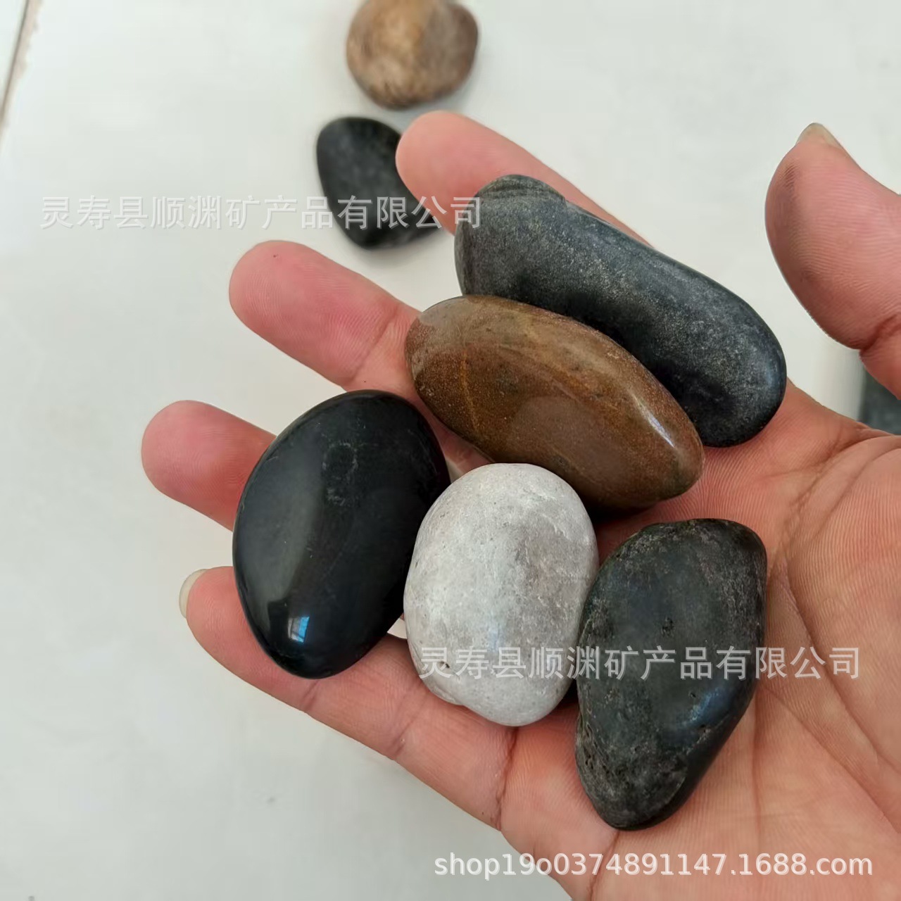 微信图片_20250906082017_5_622