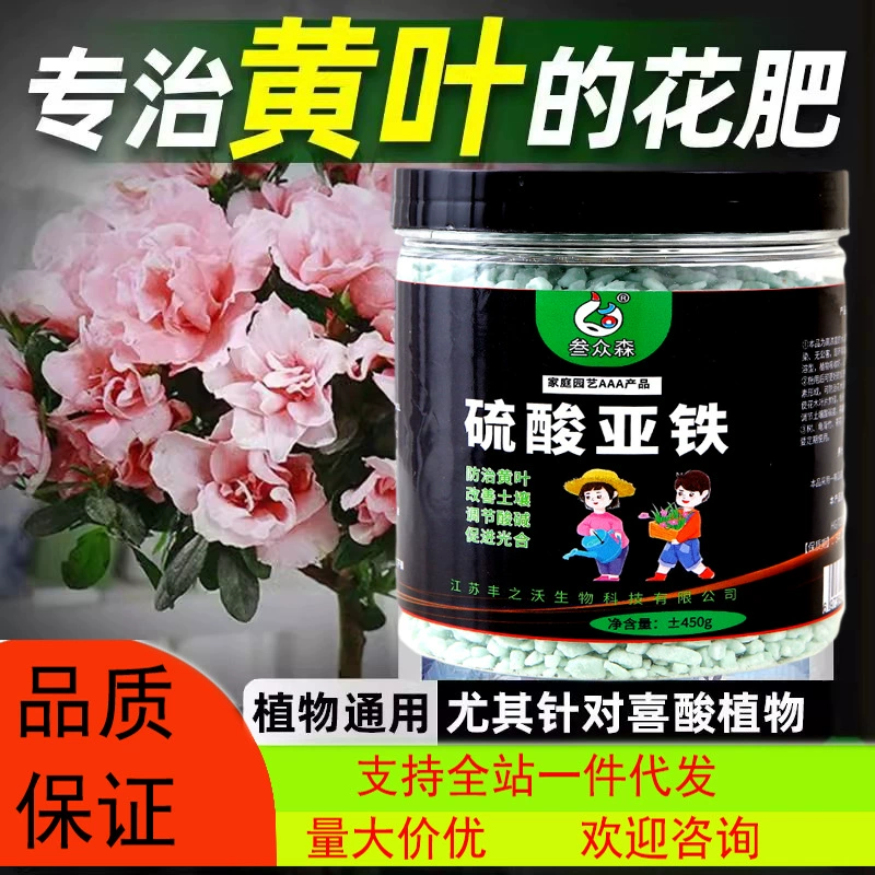 Сульфат железа Кислотные растения цветочные удобрения камелия гардении универсальные удобрения в горшках азот-фосфат-калий ферментации питательные цветы